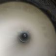 IMG_20210130_115304.jpg